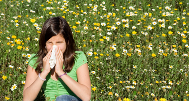 Relief From the Symptoms of Seasonal Allergies